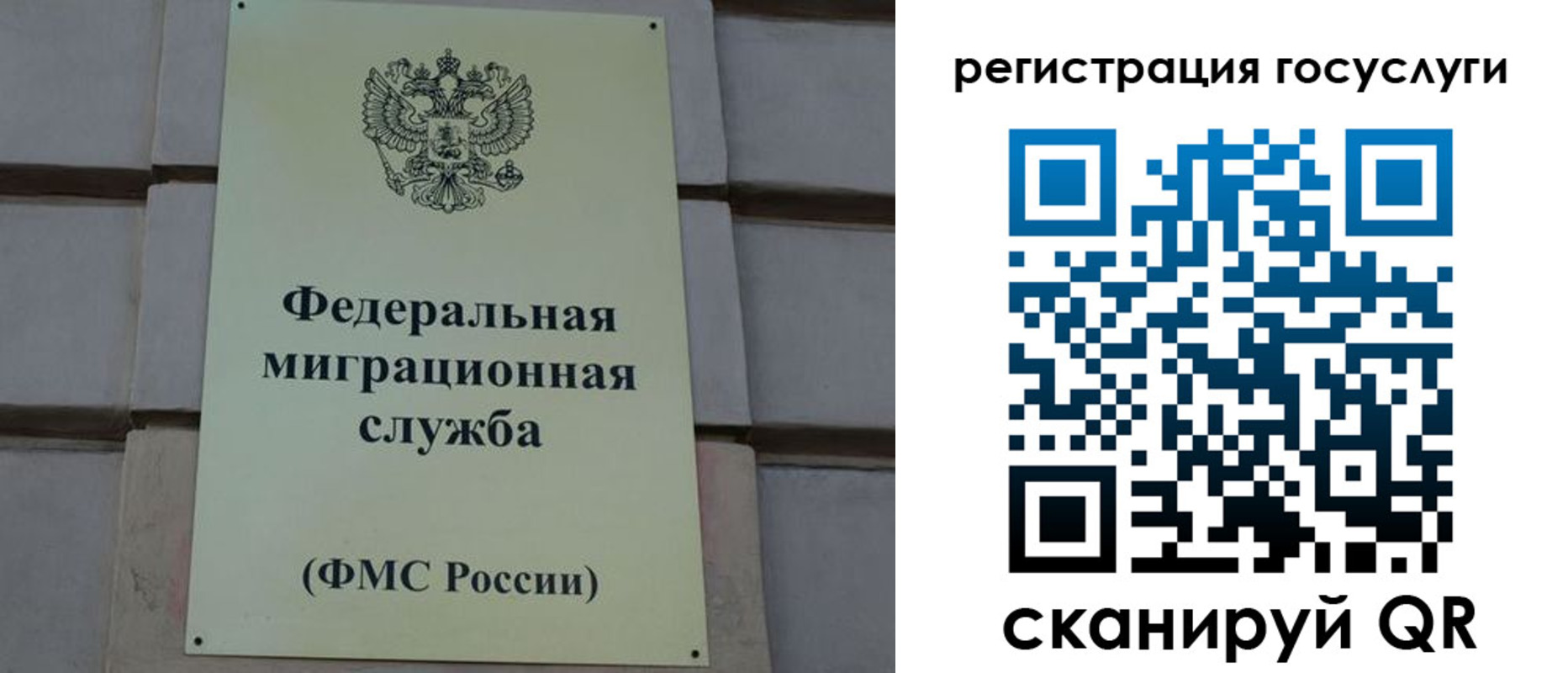 временная регистрация поиск в Владимирской области